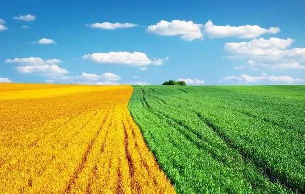 尼龍管PA66材料在機械以及農業方面的應用